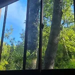 Cabanas El Abuelo